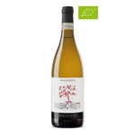 Moscato d'Asti Maggiorina 2024