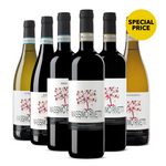 Journey To The Langhe